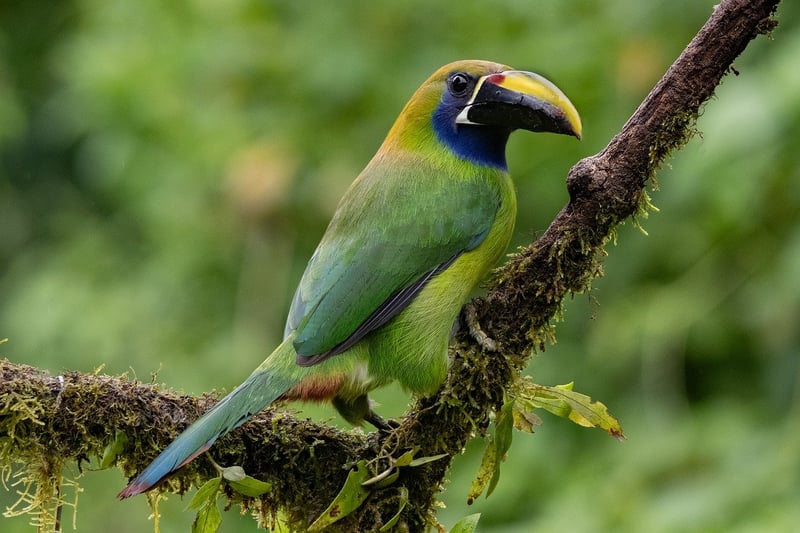 Costa Rica